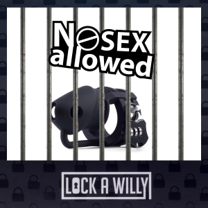 Lock-A-Willy