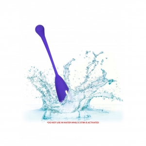 Impulse - E-Stimulator Remote Kegel Exerciser