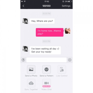 Lovense - Ferri Panty Vibrator