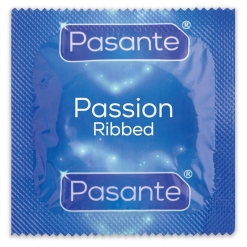 Pasante - Ribbed kondomi, 144 kom