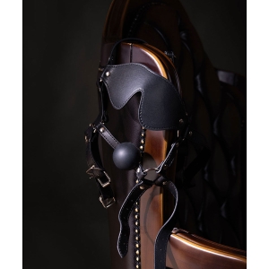 Xtreme - Blindfolded Head Harness & Solid Ball Gag
