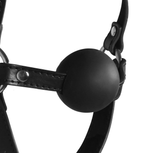 Xtreme - Blindfolded Head Harness & Solid Ball Gag