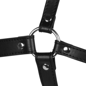 Xtreme - Blindfolded Head Harness & Solid Ball Gag