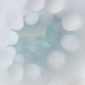Platanomelon – Sensei