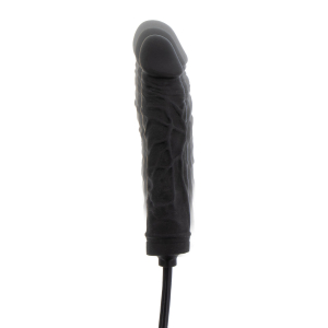 Hidden Desire – Inflatable Dong – Advanced