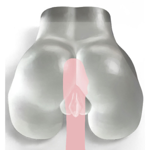 Bangers - See-Through Masturbator