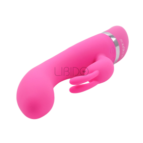 Foreplay Frenzy – Bunny