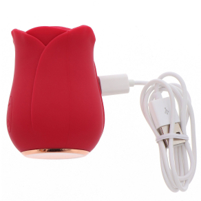 Toy Joy – Ravishing Rose Air Stimulator