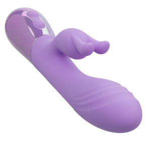Aura – Dual Bunny