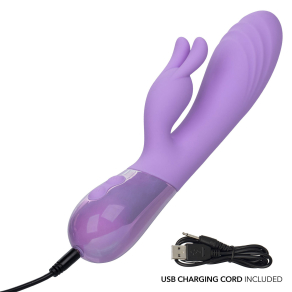 Aura – Dual Bunny