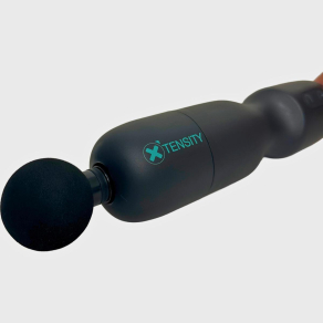 Xtensity 1